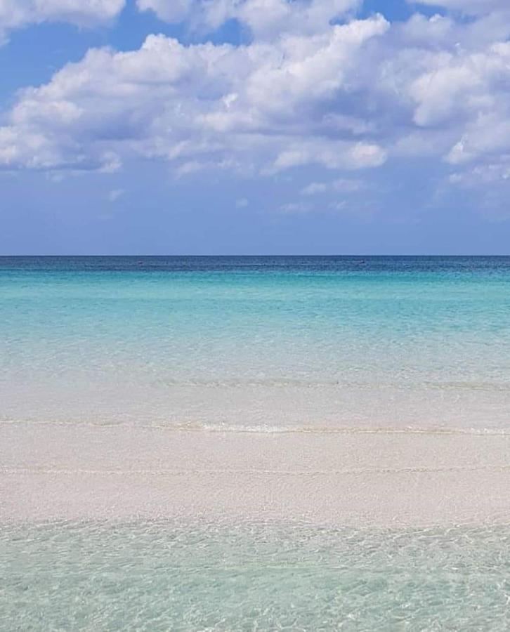 Manidibianco Apulian Relaxing Stay トゥーリ エクステリア 写真